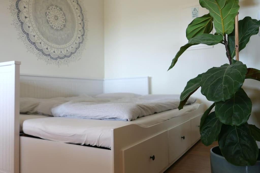 Panorama Apartment Sagres *Pool* Zewnętrze zdjęcie