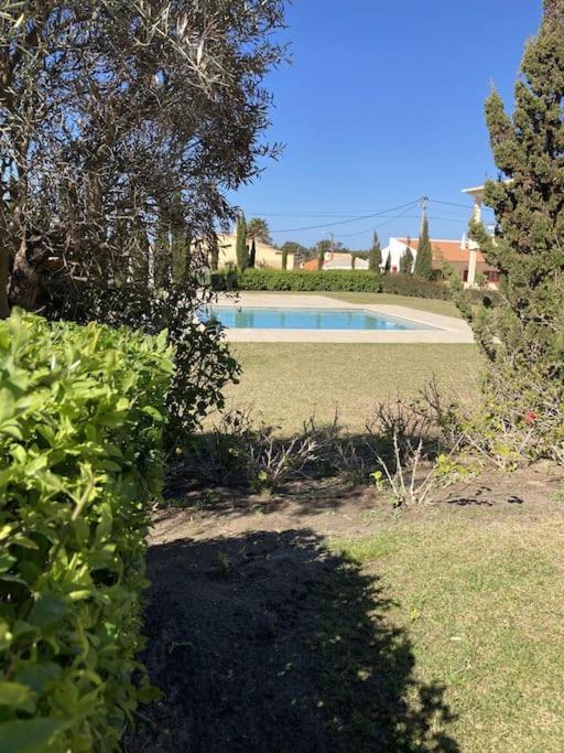 Panorama Apartment Sagres *Pool* Zewnętrze zdjęcie